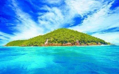 逃离诡异的森林